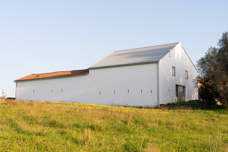 OSSO Associação Cultural logo