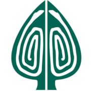 Paradise International Art Center logo