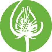 Touchstone 2-Week logo