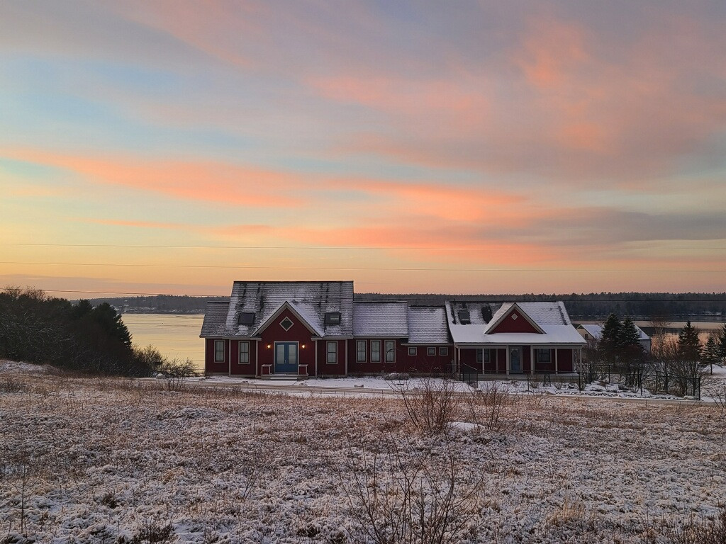 The Foggy Bee Art Retreat/Residency logo