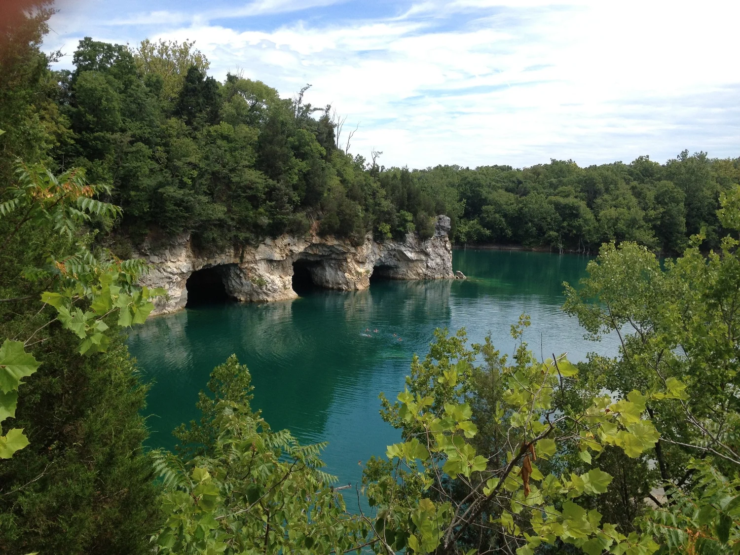 Wild Wonderful Rural logo