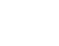 Neiro Association for Expanding Arts logo