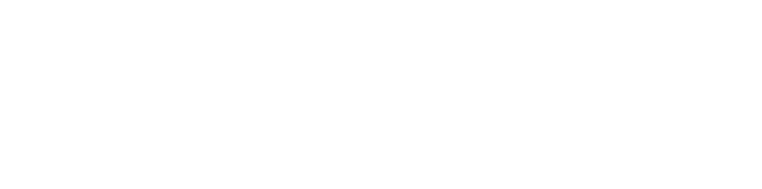 Villa Sträuli logo