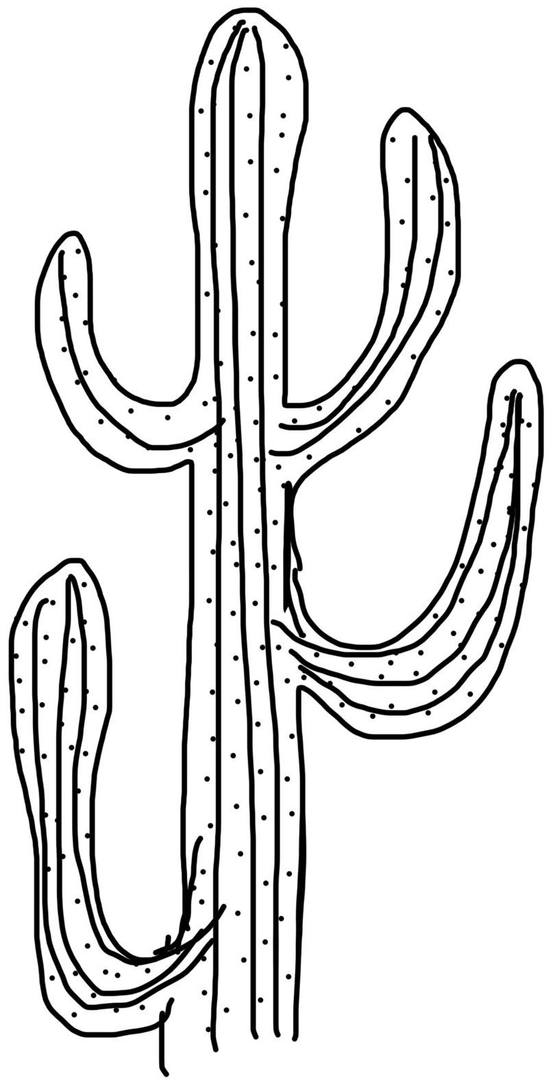 Mirante Xique-Xique (MXX) logo