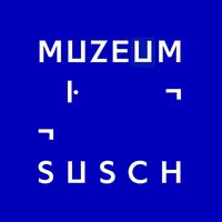 Muzeum Susch / Art Stations Foundation CH logo