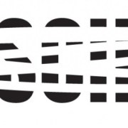 No Discipline Limited logo