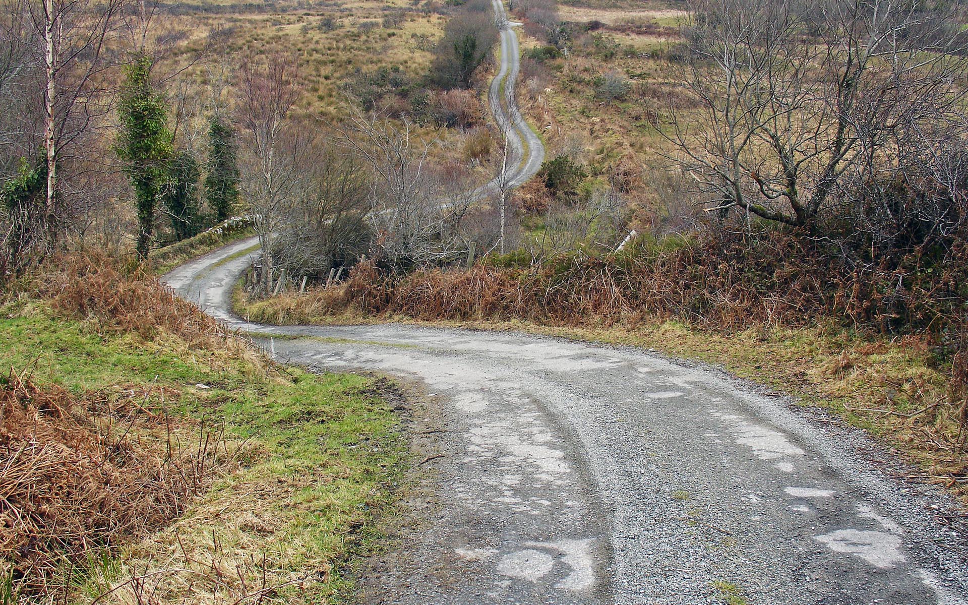 The Cabin at Road Books logo