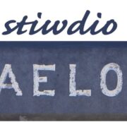 Stiwdio Maelor logo
