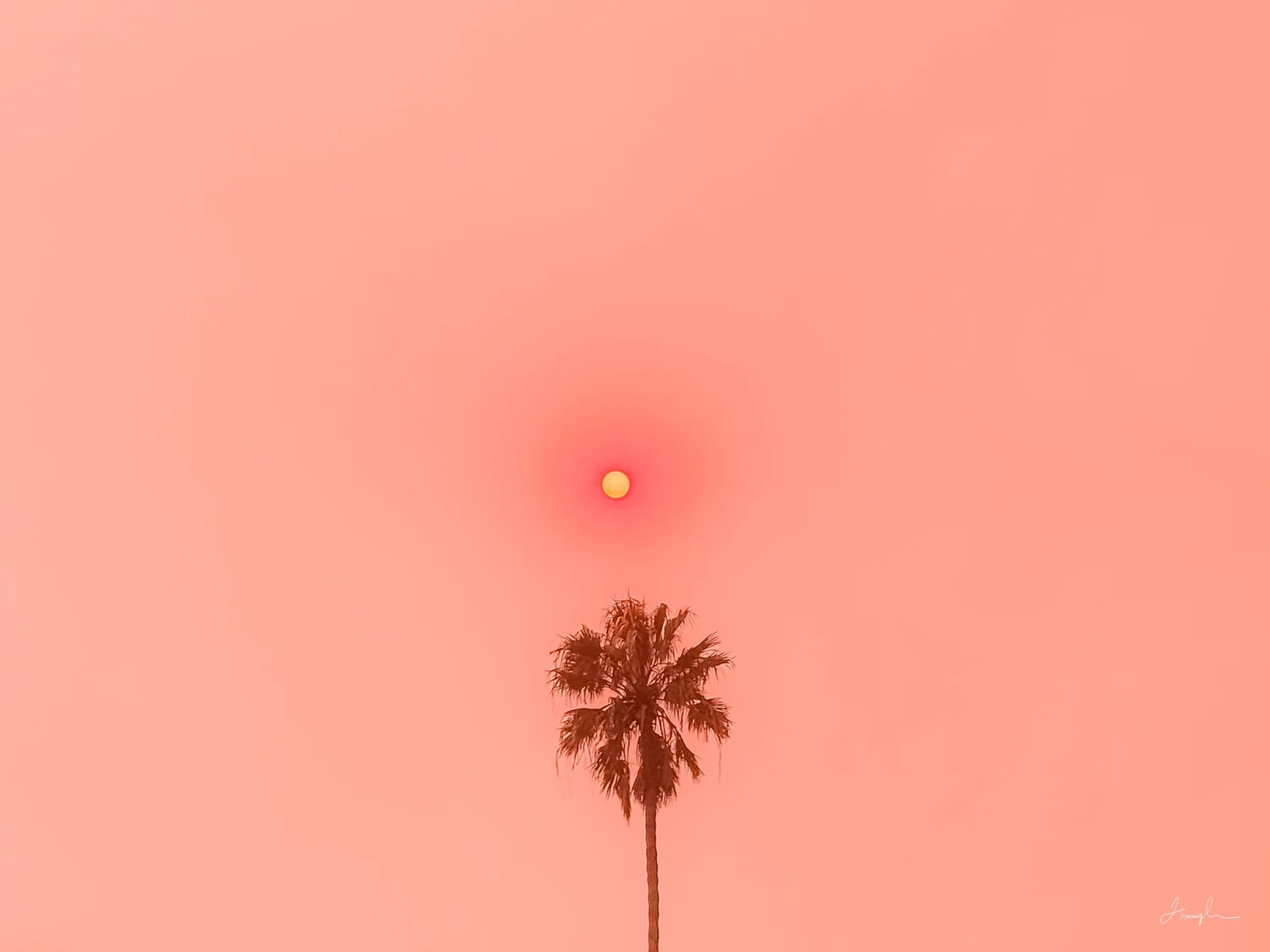 The Residency Project logo