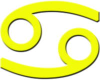 Vice~Versa Foundation logo