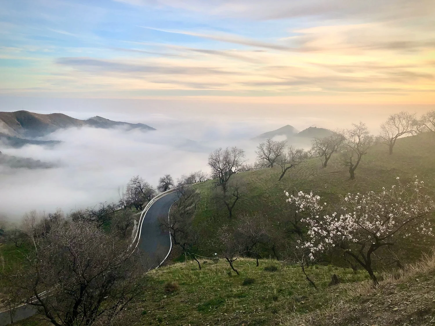 Alpujarra Artist Residence logo