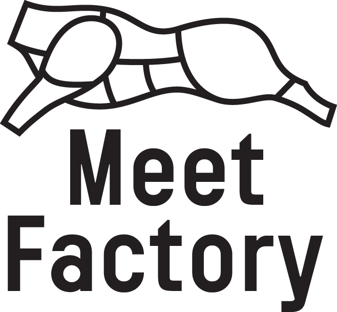 MeetFactory logo