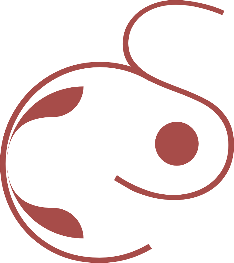 Stamika Collective logo