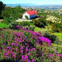 Dorland Mountain Arts logo