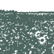 Prairie Residency logo