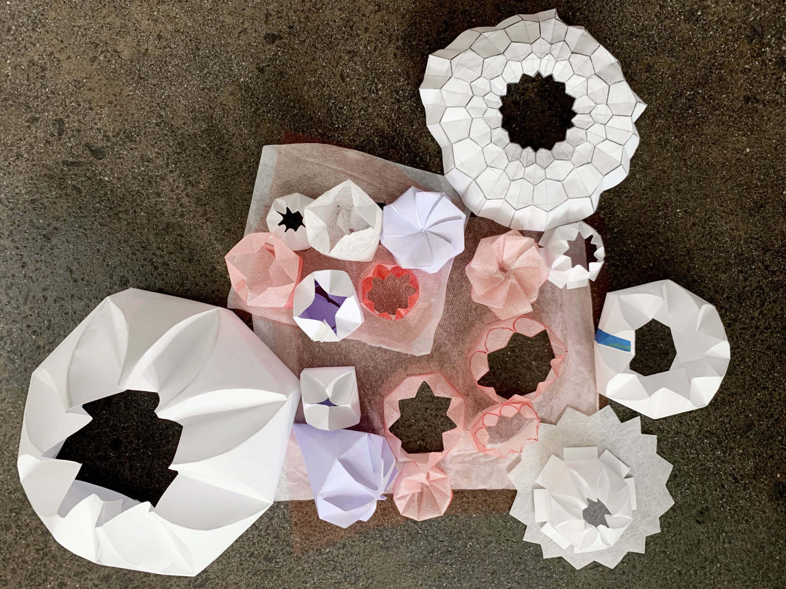 Schmidt Ocean Institute logo