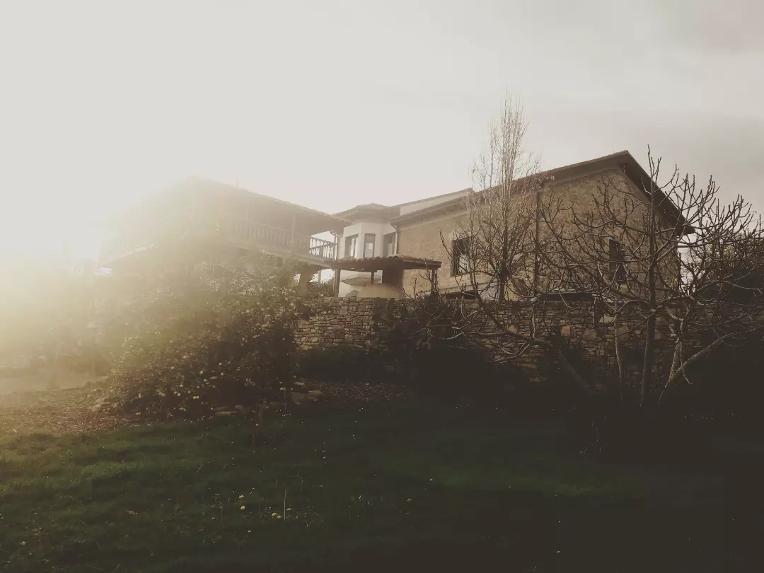 PACA_Proyectos Artísticos Casa Antonino logo