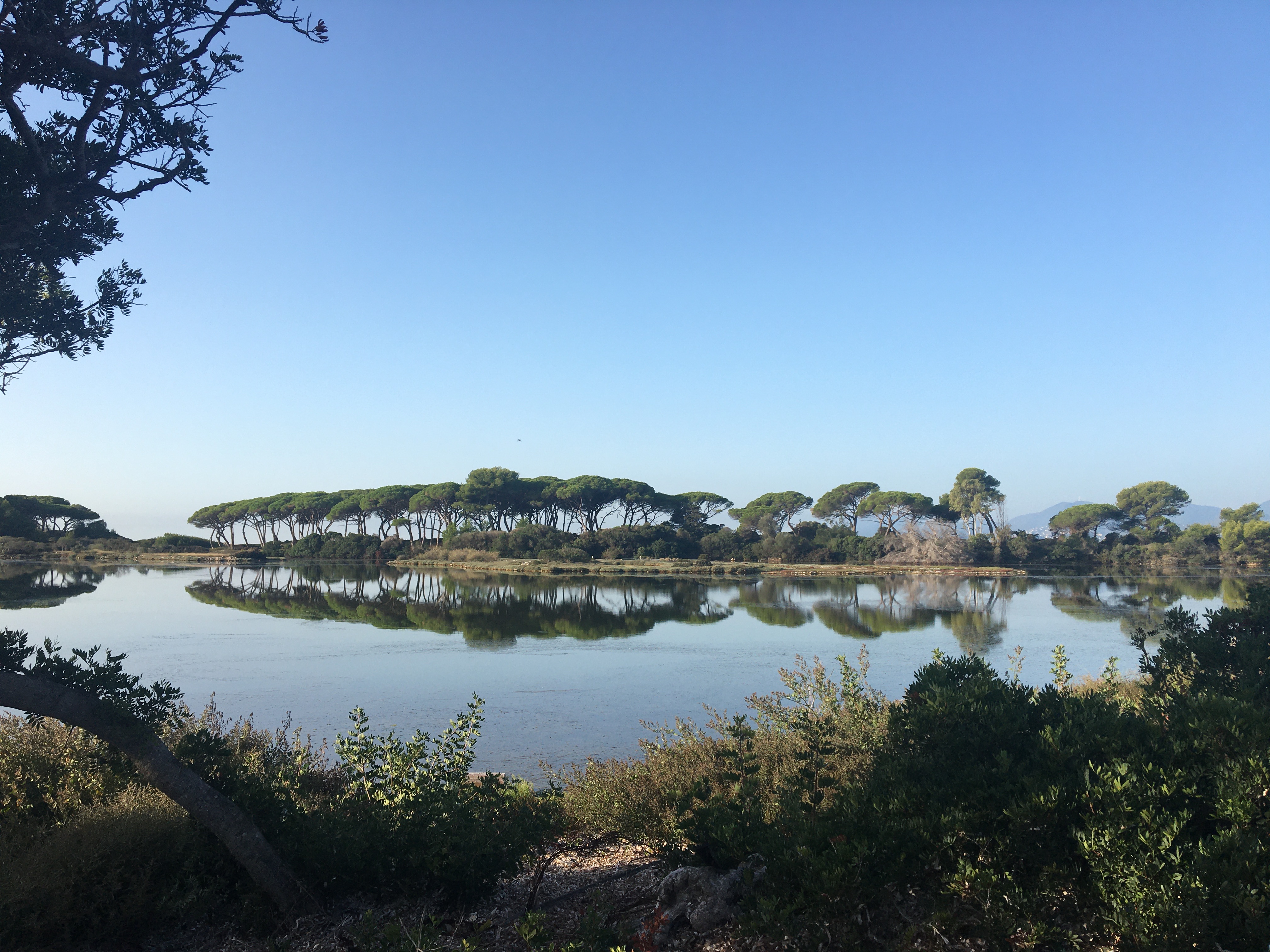 Photo by Mary-Lyn Chambers