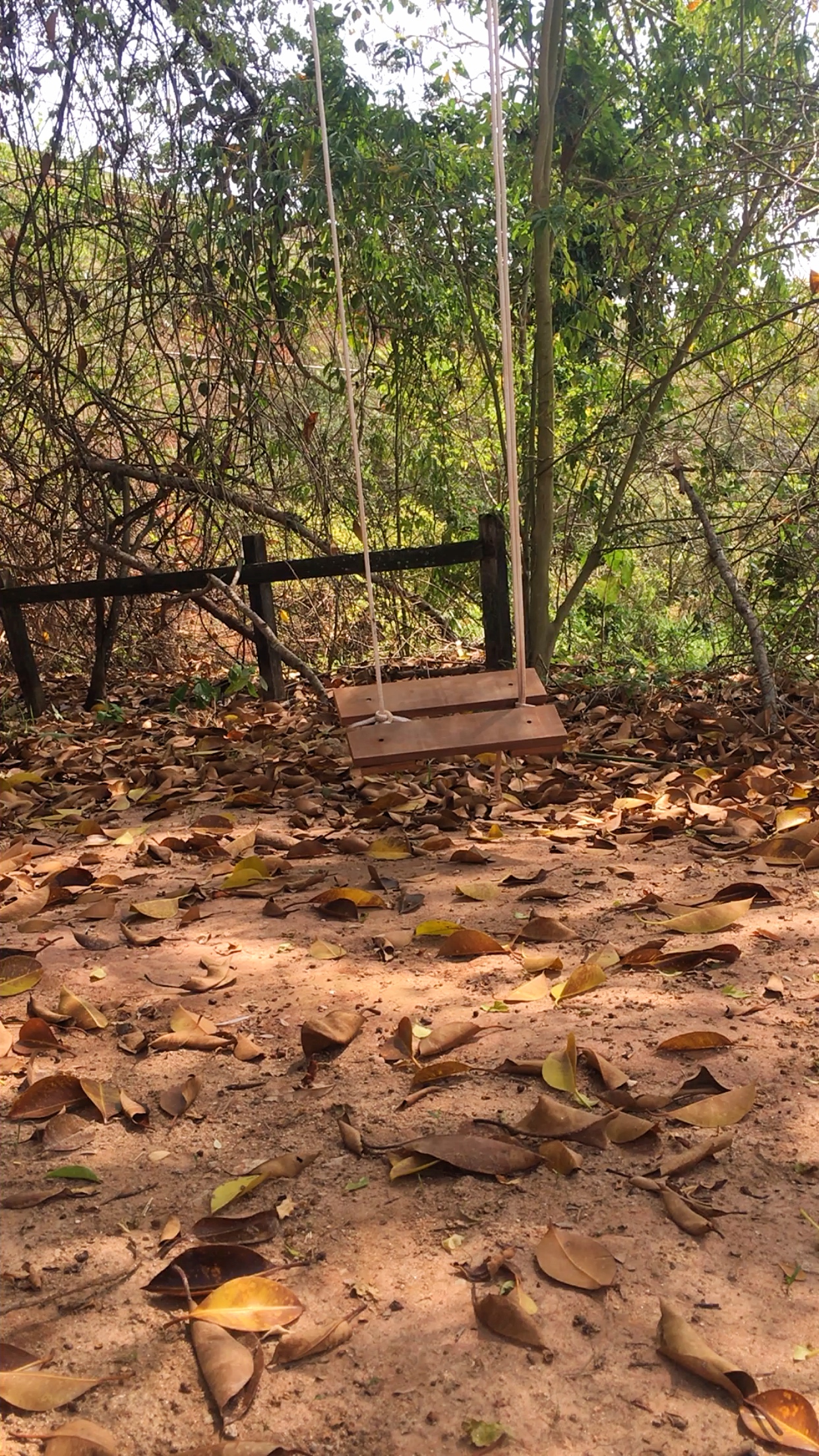 Photo by Larissa Siqueira da cunha